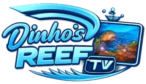 TV DinhoS Reef