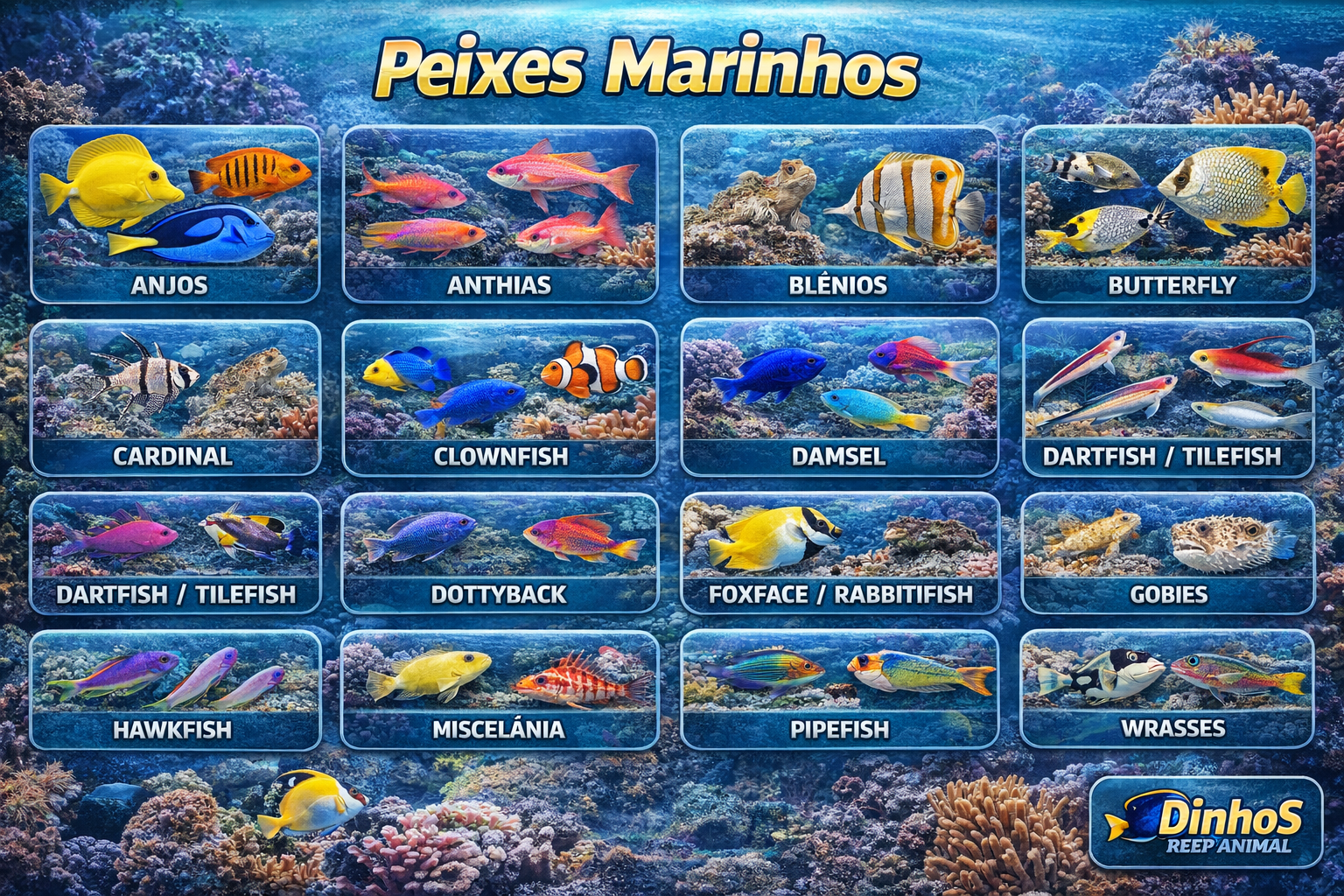 🐠 GUIA DEFINITIVO PRO