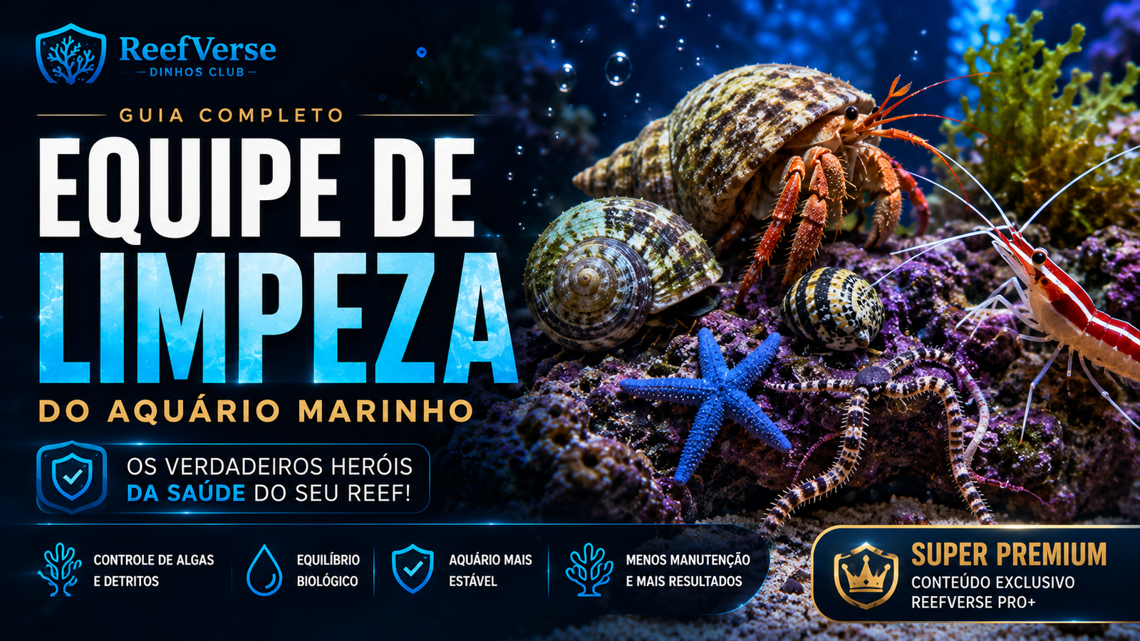 🧹 Equipe de Limpeza do Aquário Marinho: Quem São, Para Que Servem e Como Escolher Corretamente
