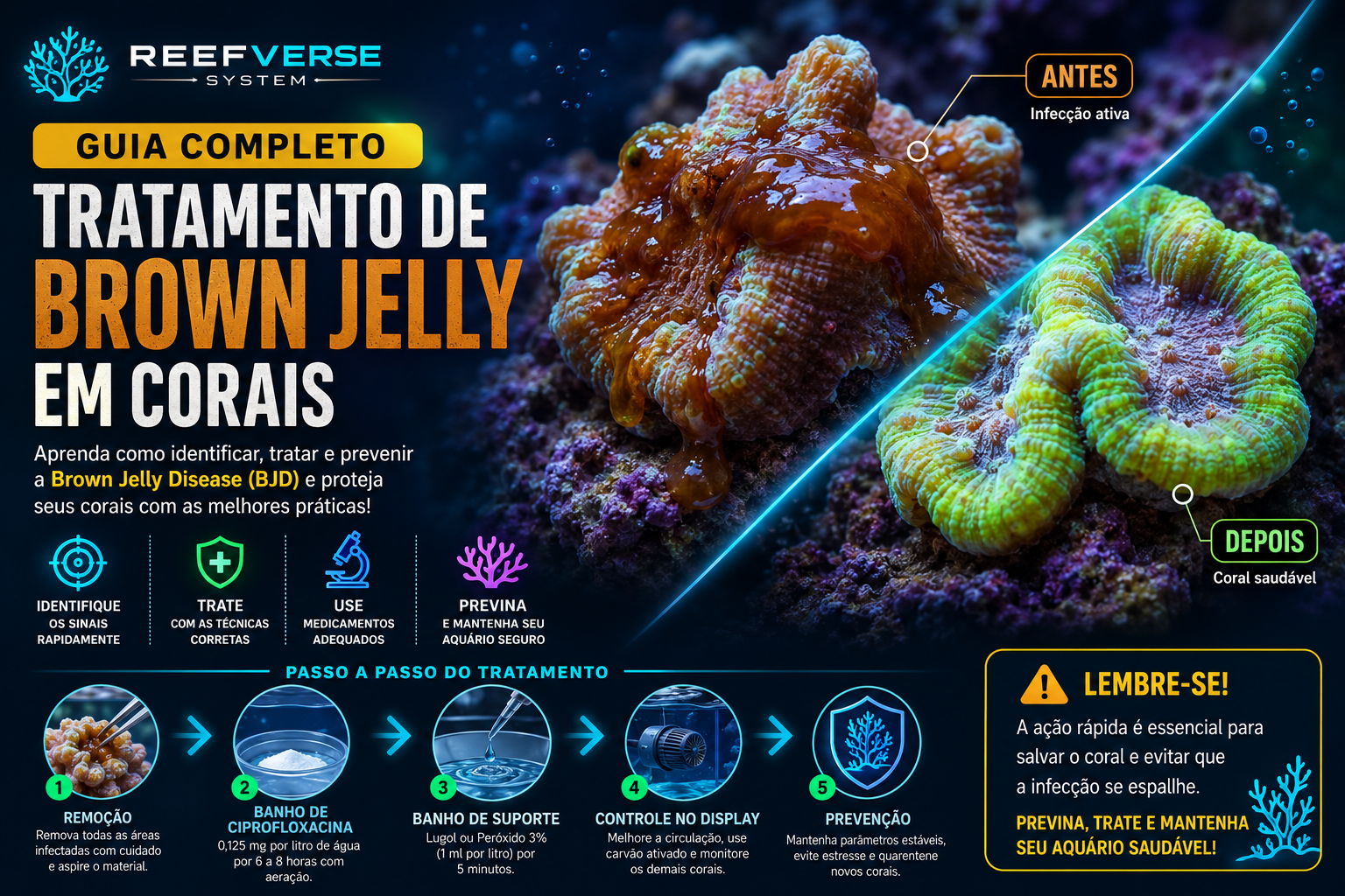 Guia Completo para Tratamento de Brown Jelly em Corais