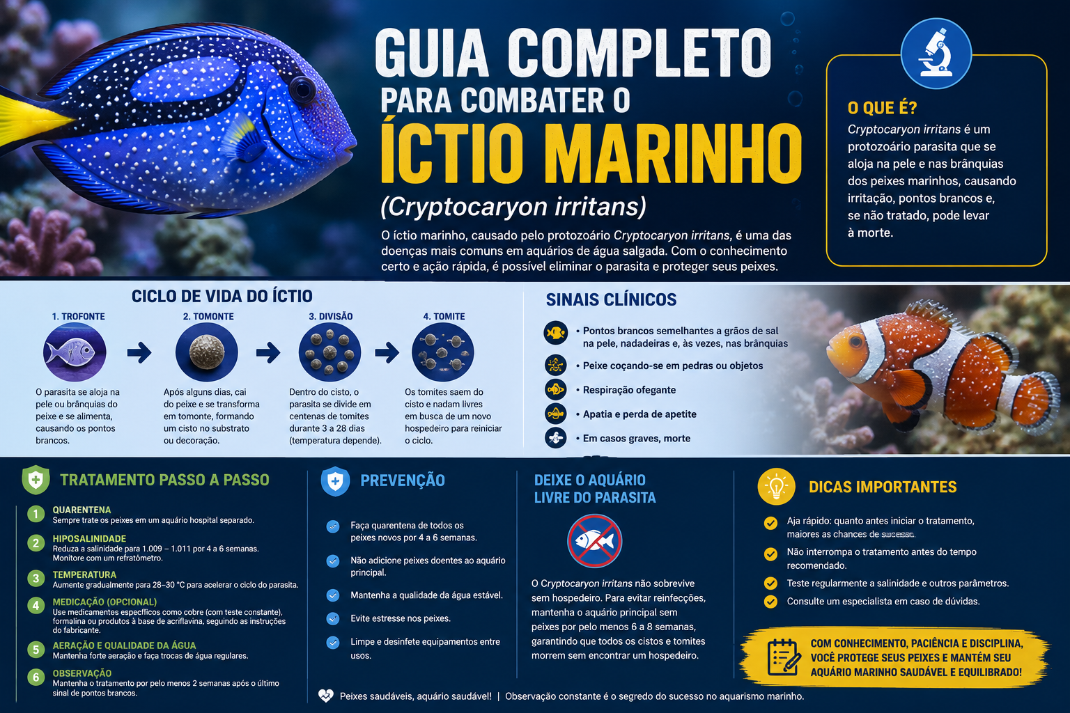 Guia Completo para Combater o Íctio Marinho (Cryptocaryon irritans)