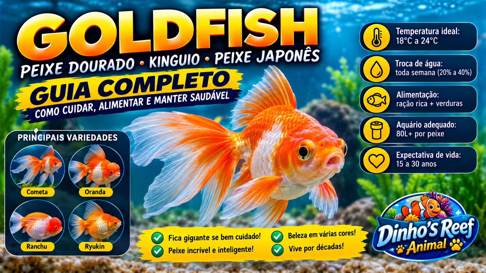 Goldfish: O Guia Completo do Peixe Dourado (Kinguio)
